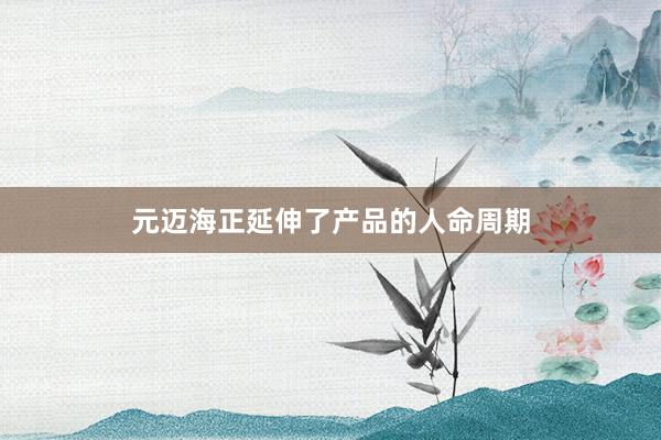 元迈海正延伸了产品的人命周期